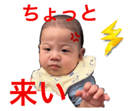 788312599