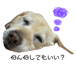 788322207