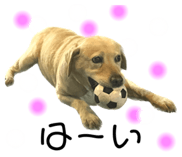 788322222