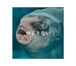788325031