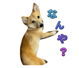 788331347