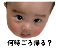 788332474