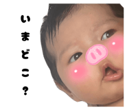 788332558