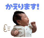 788332566
