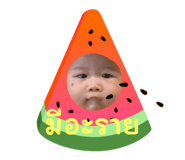 788336098