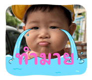 788336099
