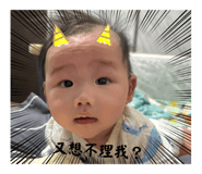 788336444