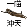 788346993