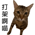 788346995