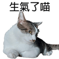 788346996