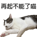 788346997