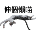 788346999