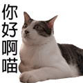 788347000
