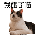 788347002