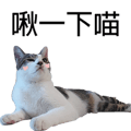 788347008