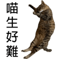 788347009