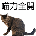 788347010