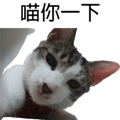 788347012