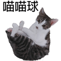 788347013