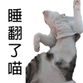 788347020