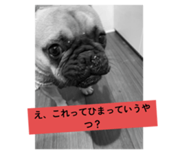 788363685