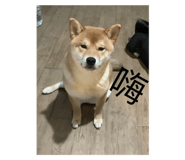 788389198