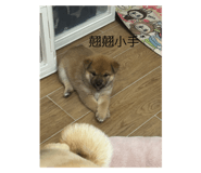 788389202