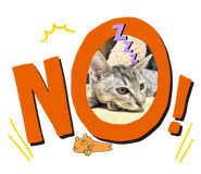 788398964