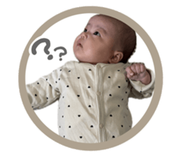 788413066