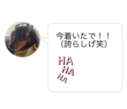 788423083