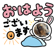 788423085
