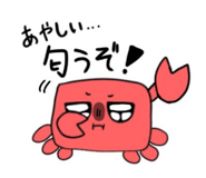 788431609