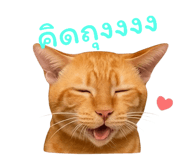 788440443