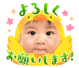 788443352