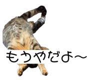 788445311