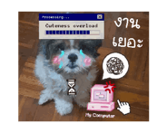 788448383