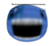 788451146