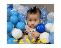 788454001