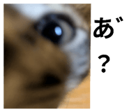 788472172