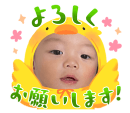 788503517