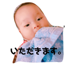 78851488