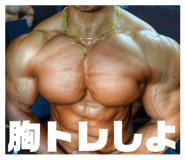 788517313