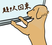 788521466