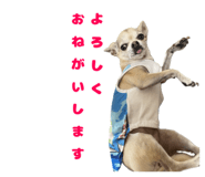 788522385