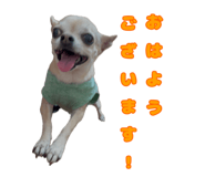 788522387