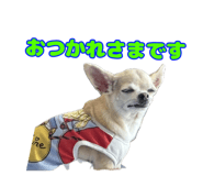 788522389