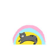 788522815