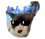 788530040