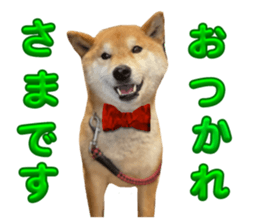 788530077