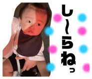 788548274